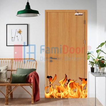 CỬA CHỐNG CHÁY LÀ GÌ?ỨNG DỤNG CỦA CỬA CHỐNG CHÁY